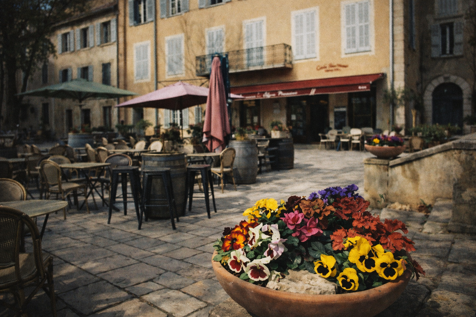 La Vigne Vincent - Tourrettes
